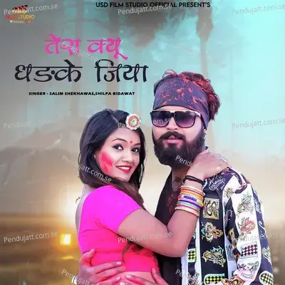 Tera Kyu Dhadke Jiya - Salim Shekhawas album cover 