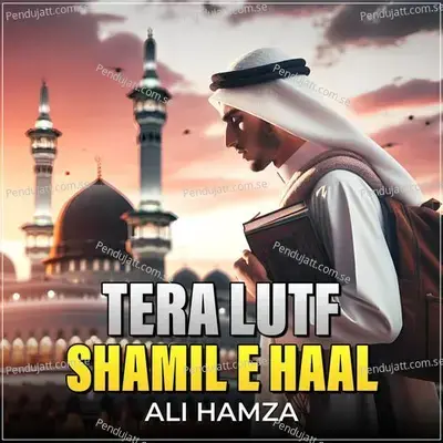 Tera Lutf Shamil E Haal - Ali Hamza album cover 