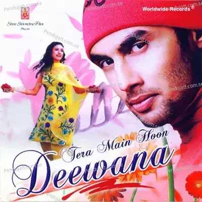 Tera Main Hoon Deewana - Soham cover album