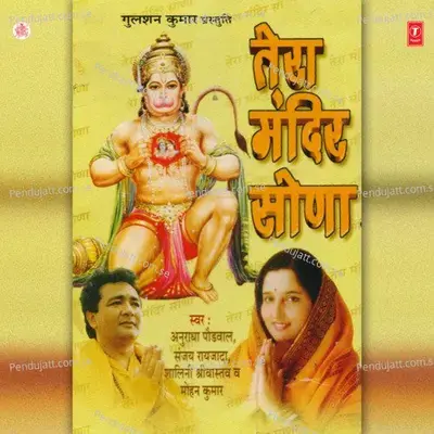 Tera Mandir Sona - Sanjay Raizada album cover 