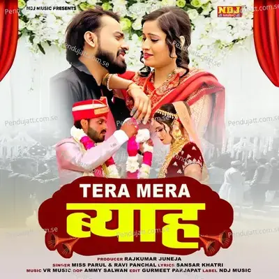 Tera Mera Byaah - Miss Parul album cover 