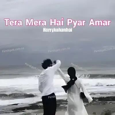 Tera Mera Hai Pyar Amar - Harrykahanhai album cover 