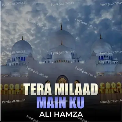 Tera Milaad Main Ku - Ali Hamza album cover 