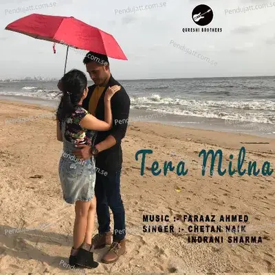 Tera Milna - Chetan Naik album cover 