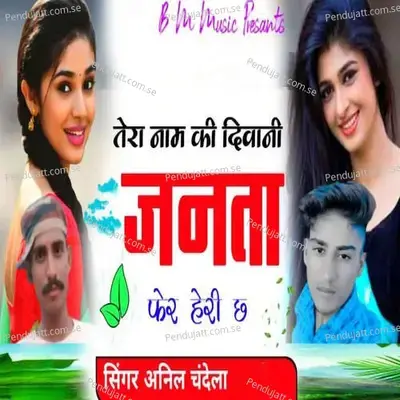 Tera Naam Ki Deewani Janta Fer Heri Ch - Anil Chandela album cover 