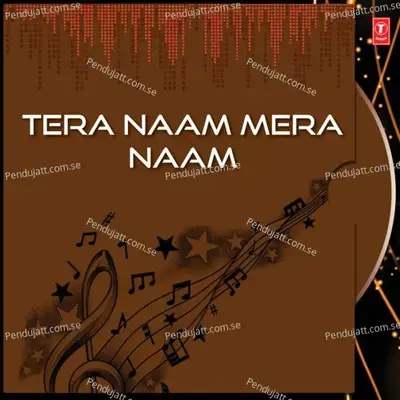 Tera Naam Mera Naam - Udit Narayan cover album