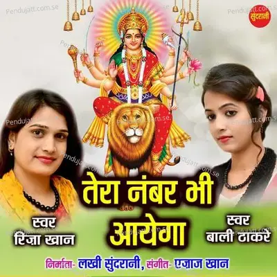 Tera Namabar Bhi Aayega - Riza Khan album cover 