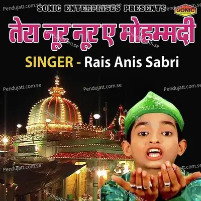 Tera Noor Noor E Mohmmadi - Rais Anis Sabri album cover 