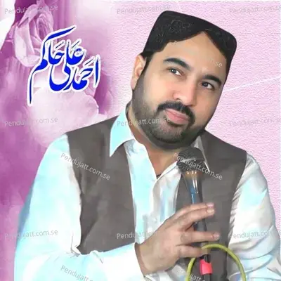 Tera Noori Noori Chehra - Ahmed Ali Hakim cover album