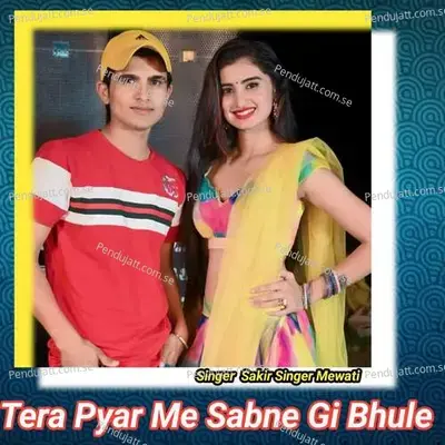 Tera Pyar Me Sabne Gi Bhule - Sakir Singer Mewati album cover 