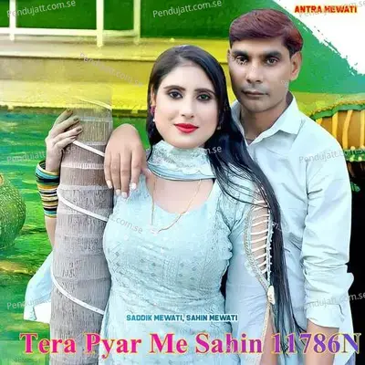 Tera Pyar Me Sahin 11786N - Saddik Mewati album cover 