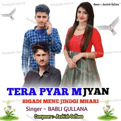 Tera Pyar Mjyan Bigadi Mene Jidgi Mhari - Harisingh dholan album cover 