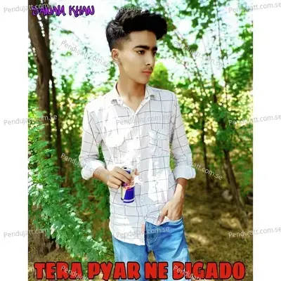 Tera Pyar Ne Bigado - Nisar Sajanpuriya album cover 