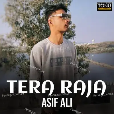 Tera Raja - Asif Ali album cover 