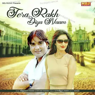 Tera Rakh Diya Naam - Surender Romio album cover 