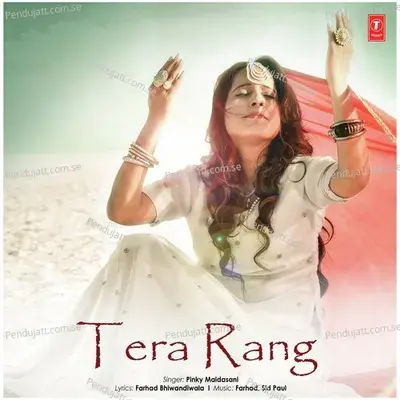 Tera Rang - Pinky Maidasani album cover 