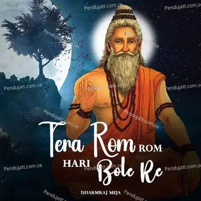 Tera Rom Rom Hari Bole Re - Dharmraj Meja album cover 