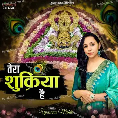 Tera Shukriya Hai - Binny Narang
