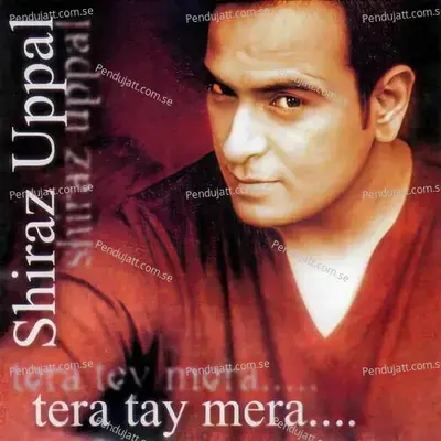 Dharti - Shiraz Uppal album cover 