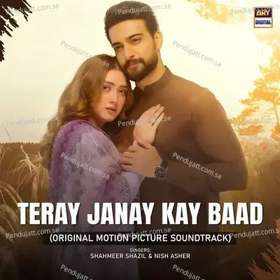 Teray Janay Kay Baad - Shahmeer Shazil album cover 