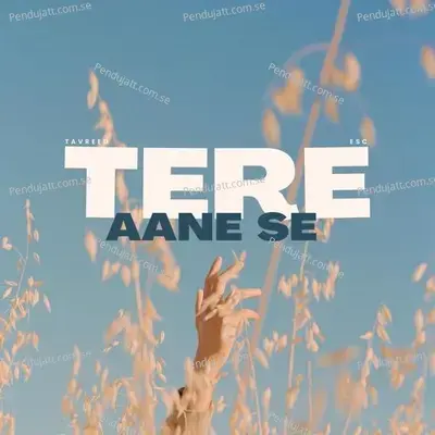 Tere Aane Se - Tavreed album cover 