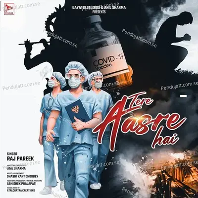 Tere Aasre Hai - Raj Pareek album cover 