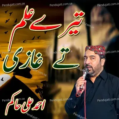 Tere Alam Te Ghazi - Ahmed Ali Hakim album cover 