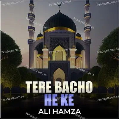 Tere Bacho He Ke - Ali Hamza album cover 