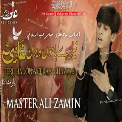 Tere Bajon Veeran Ghazi As - Master Ali Zamin album cover 