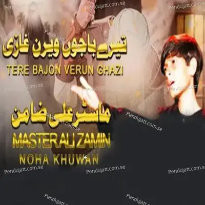 Tere Bajon Verun Ghazi - Master Ali Zamin album cover 