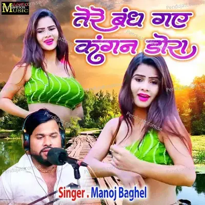 Tere Bandh Gaye Kangan Dora - Manoj Baghel album cover 