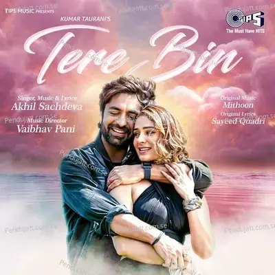 Tere Bin - Akhil Sachdeva album cover 