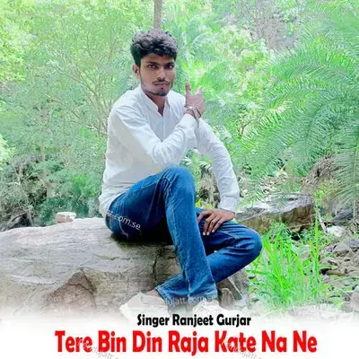 Tere Bin Din Raja Kate Na Ne - Ranjeet Gurjar album cover 