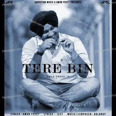 Tere Bin - Aman Preet album cover 