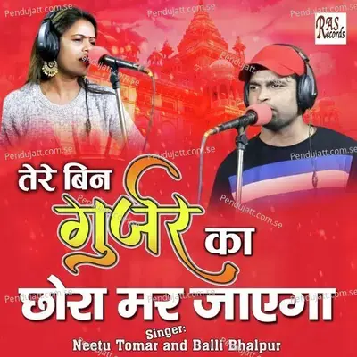 Tere Bin Gurjjar Ka Chora Mar Jayega - HSB Studio album cover 