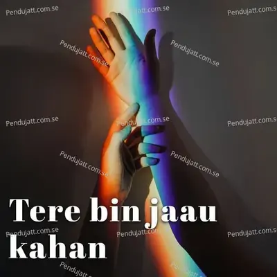 Tere Bin Jaau Kahan - Various Artists