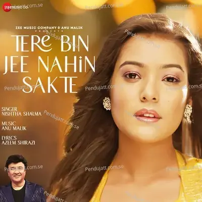 Tere Bin Jee Nahin Sakte - Anu Malik album cover 