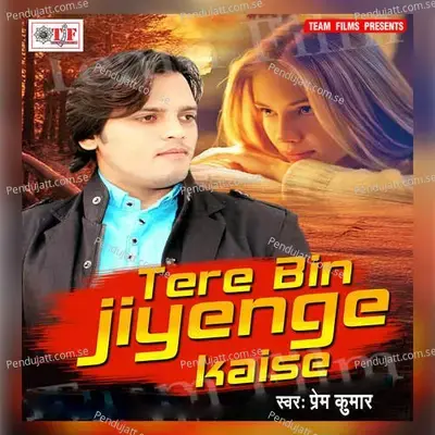 Tere Bin Jiyenge Kaise - Prem Kumar album cover 