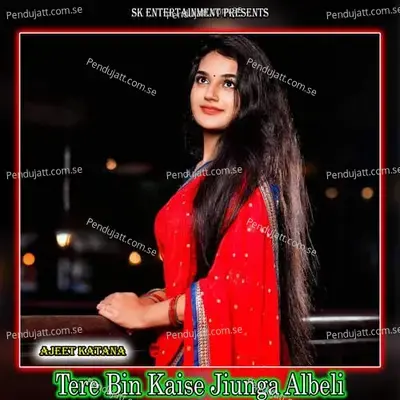 Tere Bin Kaise Jiunga Albeli - Amit Kumar