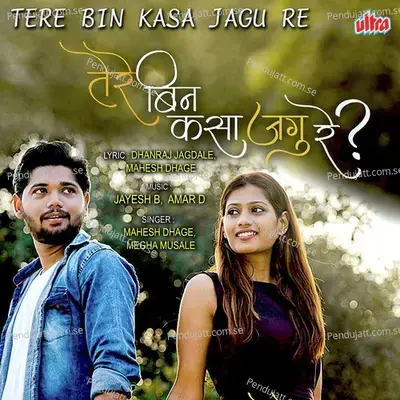 Tere Bin Kasa Jagu Re - Mahesh Dhage album cover 