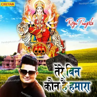 Tere Bin Kon Hai Hamara - Raju Punjabi album cover 