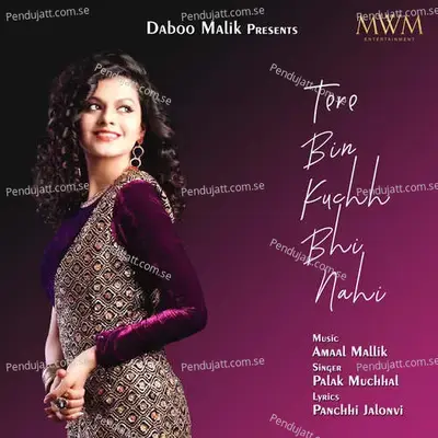 Tere Bin Kuchh Bhi Nahi - Palak Muchhal album cover 