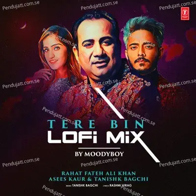 Tere Bin Lofi Mix - Rahat Fateh Ali Khan album cover 