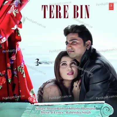 Tere Bin - Mahendra Singh album cover 