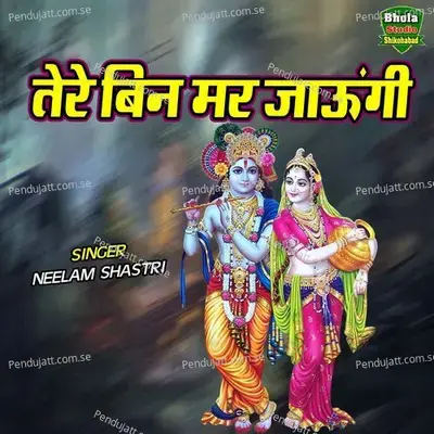 Tere Bin Mar Jaungi - Neelam Shastri album cover 