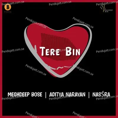 Tere Bin - Aditya Narayan album cover 