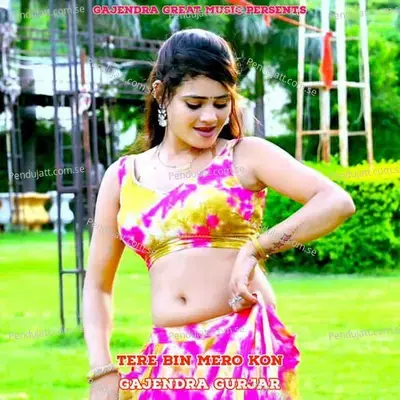 Tere Bin Mero Kon - Gajendra Gurjar album cover 