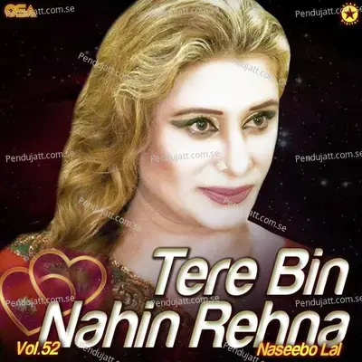 Tere Bin Nahin Rehna  Vol  52 - Naseebo Lal cover album