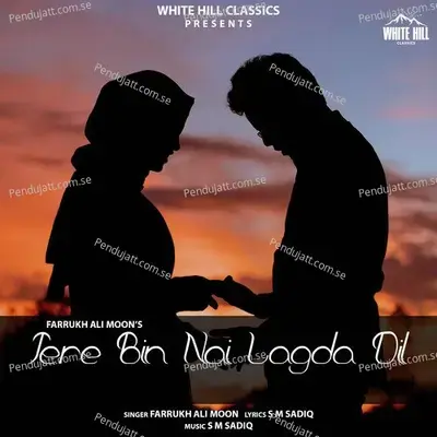 Tere Bin Nai Lagda Dil - Farrukh Ali Moon album cover 