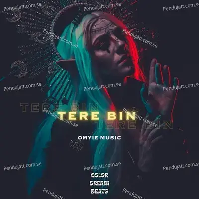 Tere Bin - Omyie Music album cover 